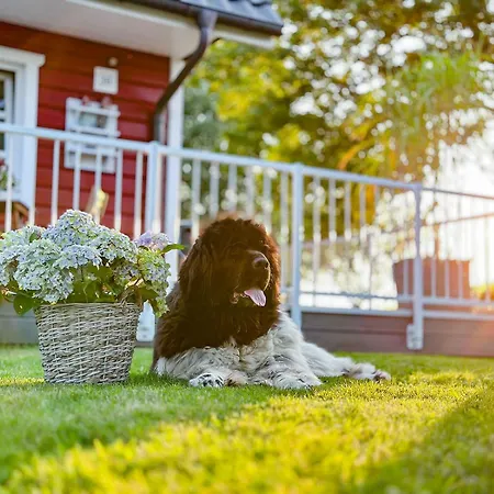 公寓 Wunderschoene - Willkommen In Der Deichluft *