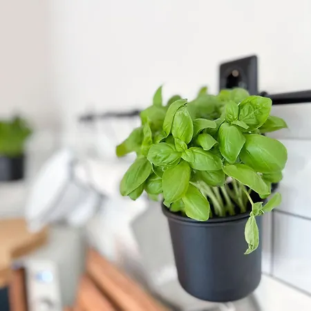 Wunderschoene - Willkommen In Der Deichluft Risum-Lindholm