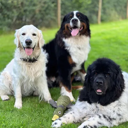 Apartament Wunderschoene - Willkommen In Der Deichluft Risum-Lindholm
